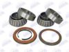 DAF 1699327S2 Wheel Bearing Kit